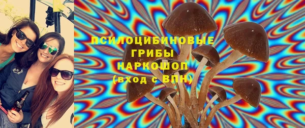 хмурый Алексеевка