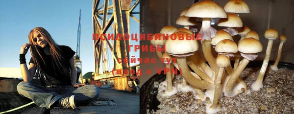 марки lsd Алексин