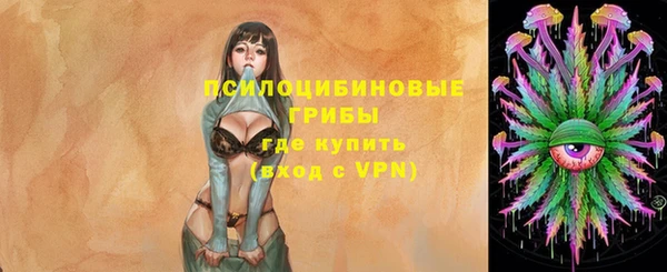 хмурый Алексеевка