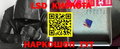хмурый Сланцы