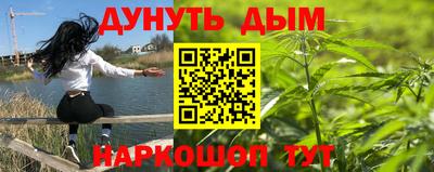 хмурый Сланцы