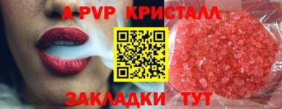 хмурый Сланцы