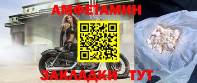 хмурый Сланцы
