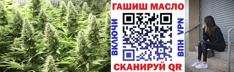 ТГК Wax Старая Русса