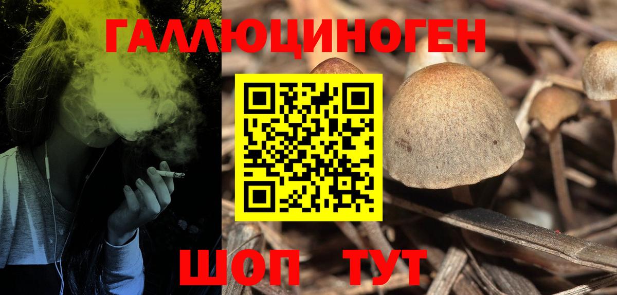 Псилоцибиновые грибы GOLDEN TEACHER Старая Русса