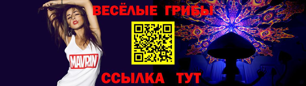 Старая Русса  купить наркотик  Галлюциногенные грибы Psilocybe  Вход с VPN  Псилоцибиновые грибы GOLDEN TEACHER 